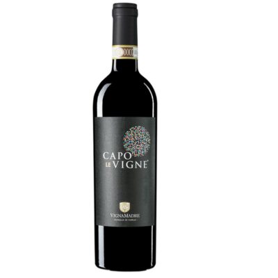 Montepulciano d'Abruzzo DOC "Capo Le Vigne" 2019- Vigna Madre