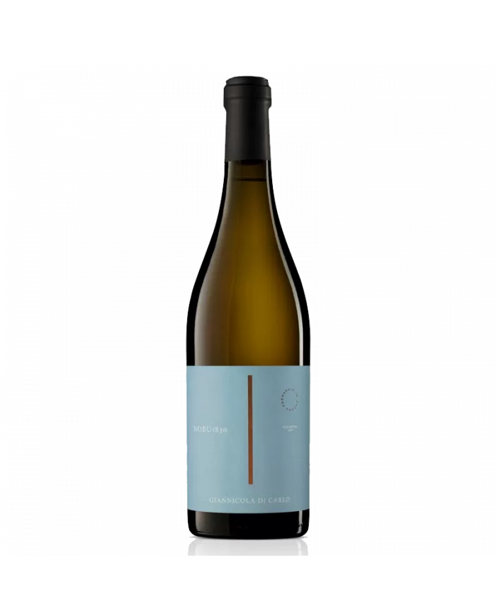 Pecorino IGP "Nobu 1830" 2025 - Famiglia Di Carlo Vini